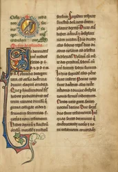 Ein Medaillon mit einer Taube